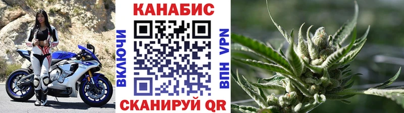 Галлюциногенные грибы Советский