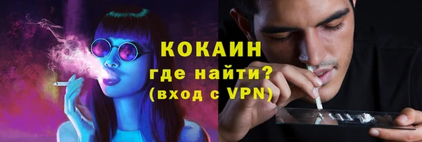 мескалин Арсеньев