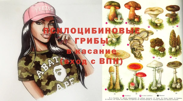 ECSTASY Аркадак